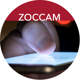 Zoccom Button