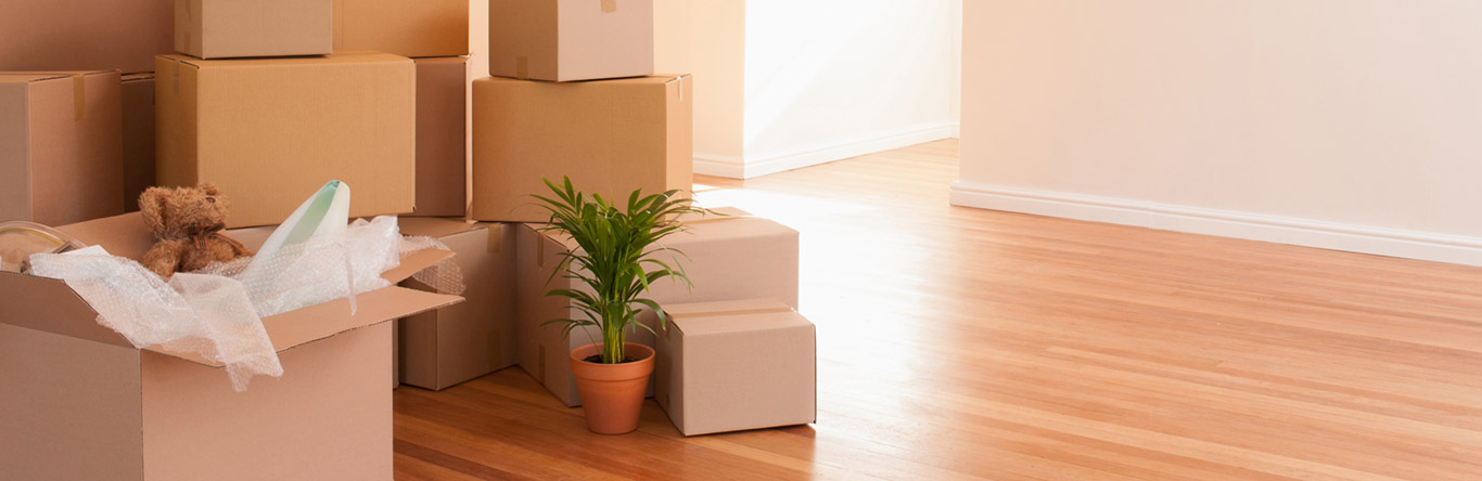 Empty home filled with moving boxes